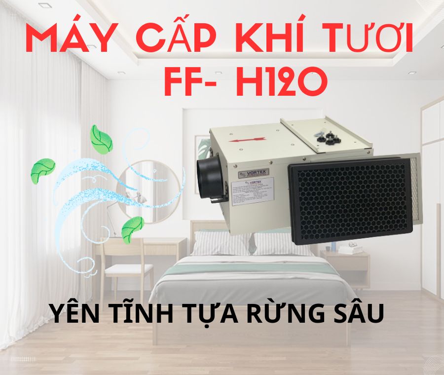 Trang chủ 53 may cap khi tuoi