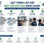 Lắp đặt máy cấp khí tươi đúng chuẩn cùng VORTEX