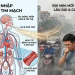 Bụi mịn và giải pháp xử lý hiệu quả