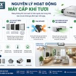 Máy cấp khí tươi cho chung cư